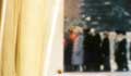 detail number 3