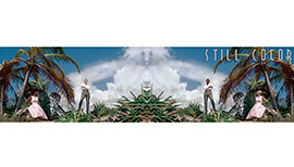 Island in the Sun #1