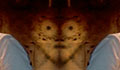 detail number 5